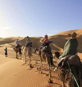 Camel Trek and 1 Night in Merzouga Camp